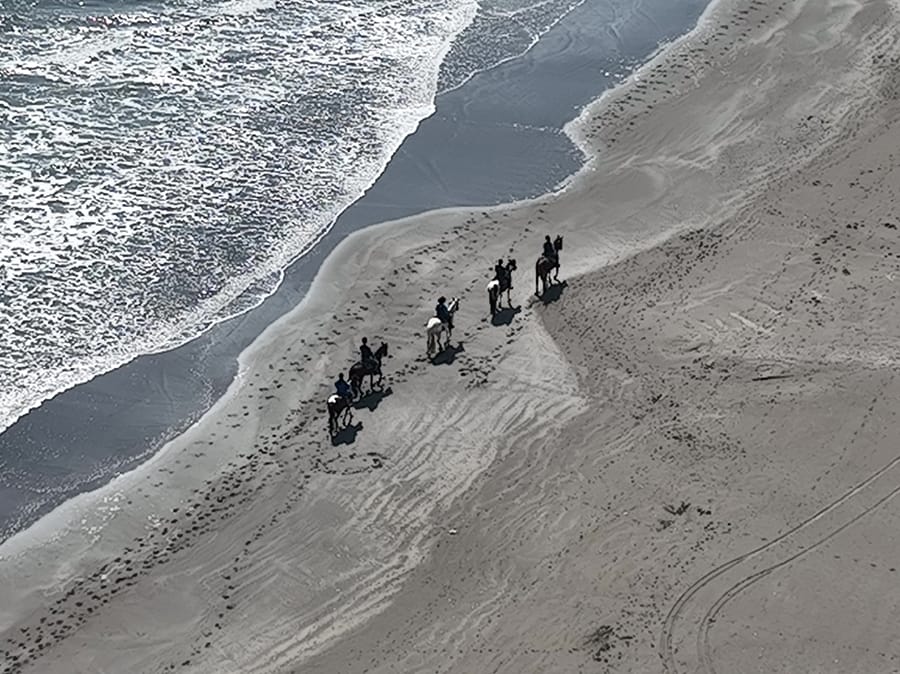 これまで有人ヘリコプターによる高額な撮影でしか叶わなかった空撮が、ドローンにより安価にスピーディにできるようになりました。
当社空撮サービスは、マンション建設予定地映像や画像、新しく建設した建物の鳥瞰映像や画像、学校行事や地域行事などの集合写真といったものだけでなく、店舗外観映像、新しく建てたマイホーム映像など、宣伝や記録用としてもお気軽にご利用いただける価格設定です。
なお、当社スタッフと所有する空撮用機体は全て人口密集地域上空飛行・目視街飛行・夜間飛行の全国包括飛行許可を取得しており、行政などからの飛行許認可が必要な場合も当社で代行取得させていただきます。


	狭域撮影（500㎡未満）：50,000円〜
	広域撮影（500㎡以上）：100,000円〜
	店舗外観撮影：50,000円〜
	店舗内観撮影：50,000円〜
	飛行許認可取得代行：20,000円〜